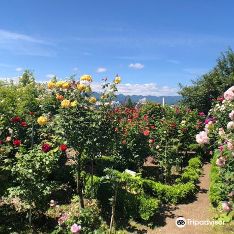 Ishida Rose Garden