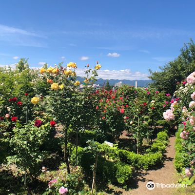 Ishida Rose Garden