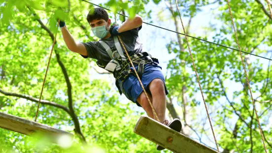 Bristol Mountain Aerial Adventures