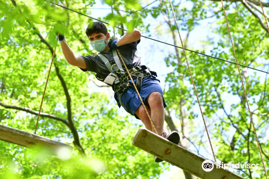 Bristol Mountain Aerial Adventures