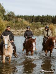 Korohe Horse Treks