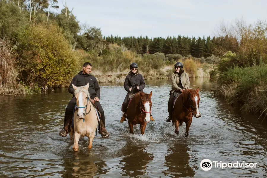 Korohe Horse Treks