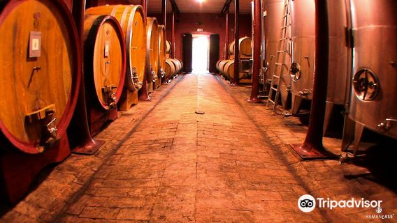 Azienda Agraria Scacciadiavoli