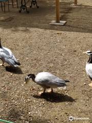 Parc Ornithologique de Bretagne