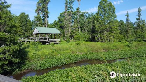 Phinizy Swamp Nature Park