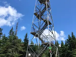 Balsam Lake Mountain Wild Forest