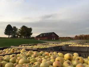 Twin Star Orchards