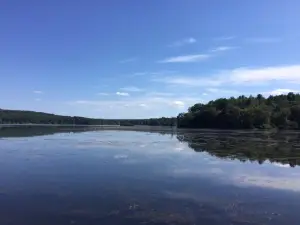 Mansfield Hollow State Park