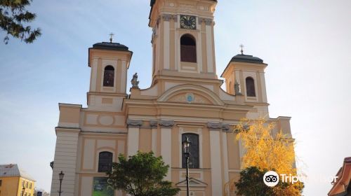 The Church of the Assumption of the Virgin Mary