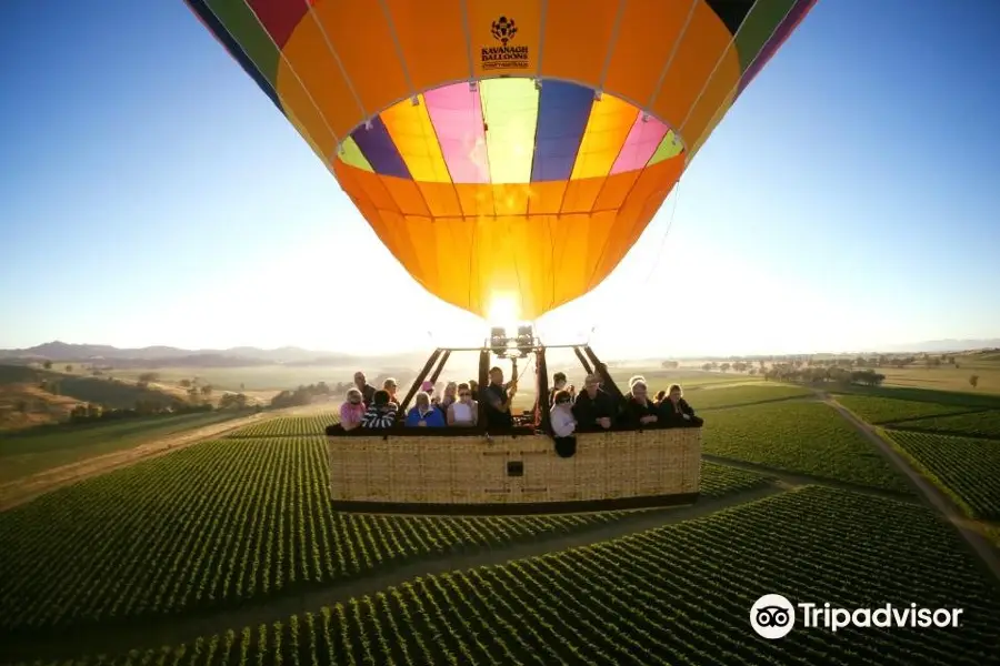 Balloon Aloft Mudgee