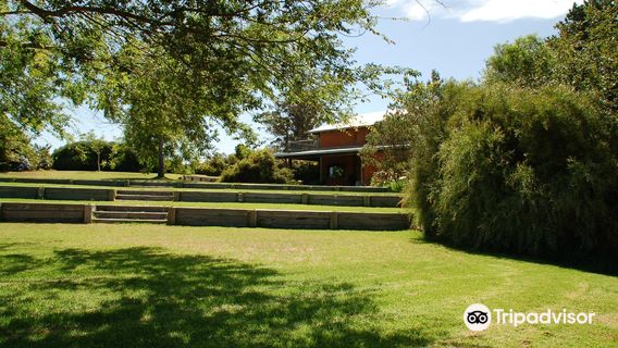 Mountford Wines and Tangletoe Cidery