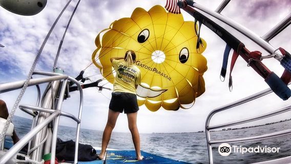 Gators Parasail