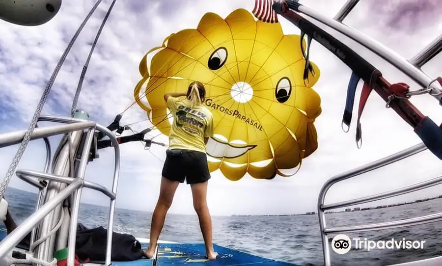 Gators Parasail