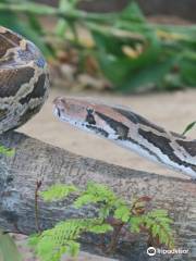 Parassinikkadavu Snake Park