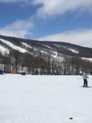 Whitetail Mountain Resort