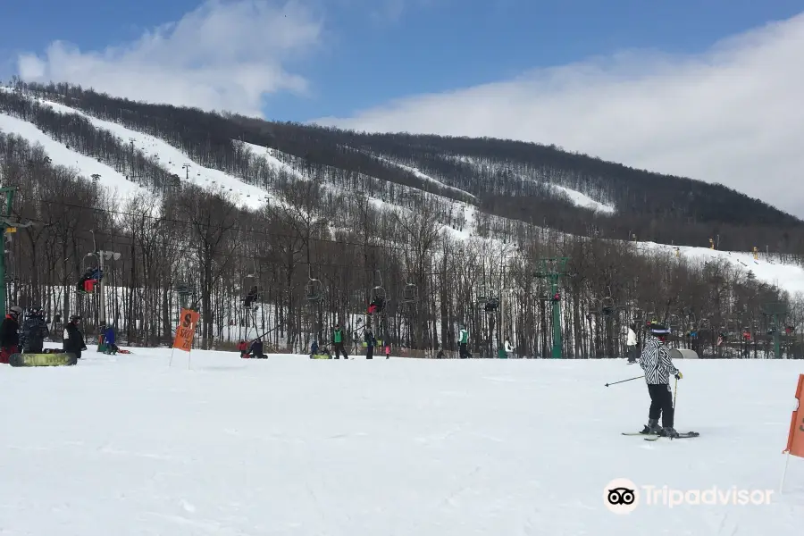 Whitetail Mountain Resort