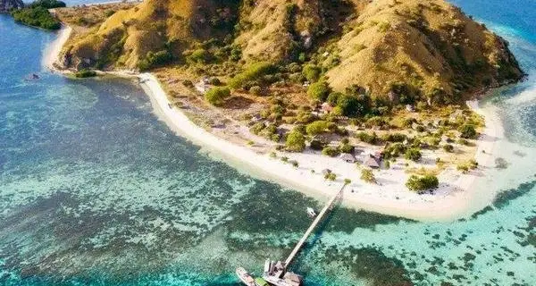 インドネシア　ヌサトゥンガラ諸島　ライジュアオールドイカット。 インドネシア ヌサトゥンガラ諸島 ライジュアオールドイカット