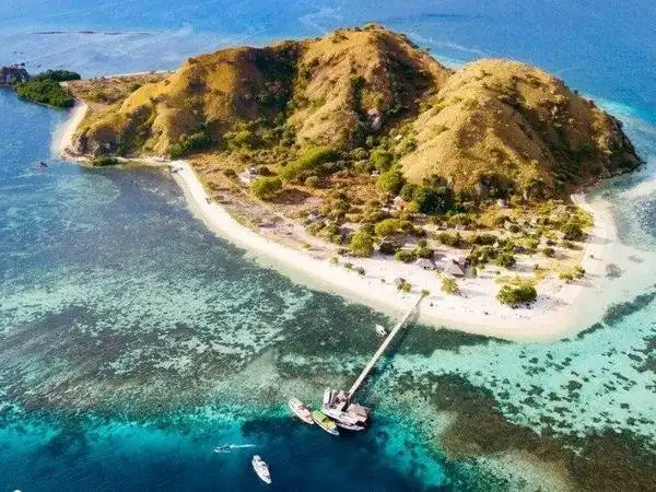 Hotel dekat Penyewaan kapal di sekitaran labuanbajo, pulau komodo dan alor