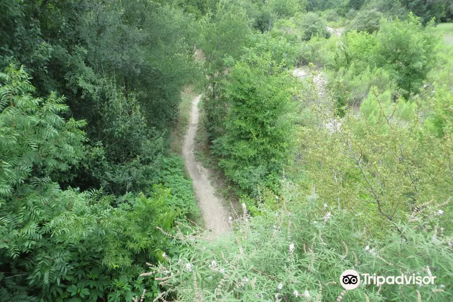 Williamson Creek West Greenbelt