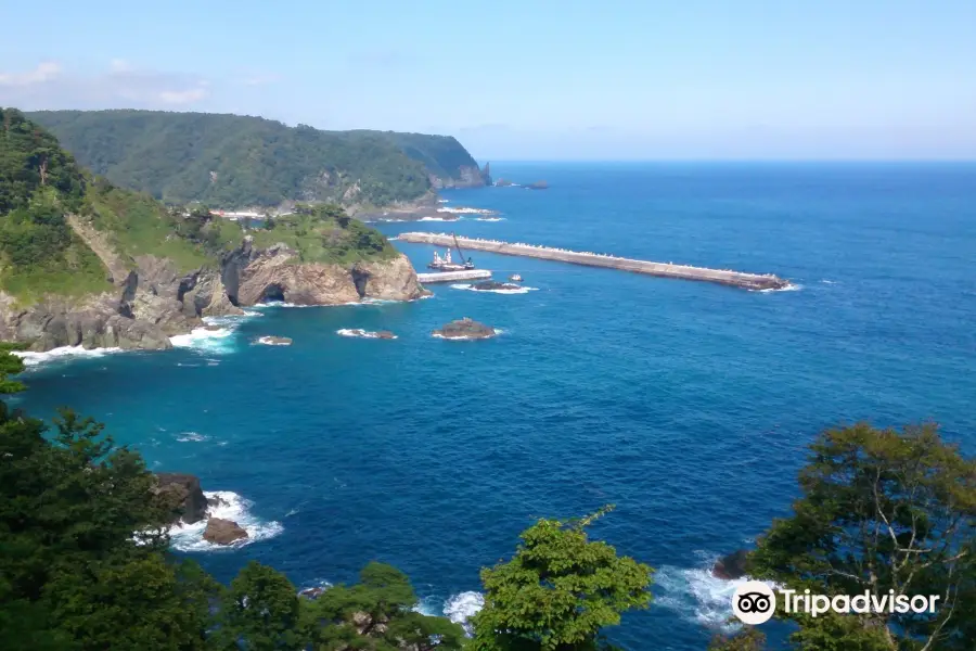 Kumanohana Observation Platform