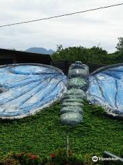 Nicaragua Butterfly Reserve