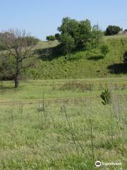 Tenuta Di Tormarancia