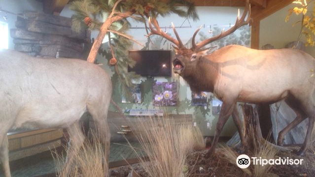 The Outdoor Campus - Rapid City