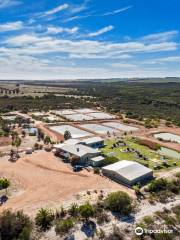 Chapman Valley Fishing Park