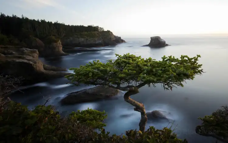 Hotels in der Nähe von Cape Flattery Trail