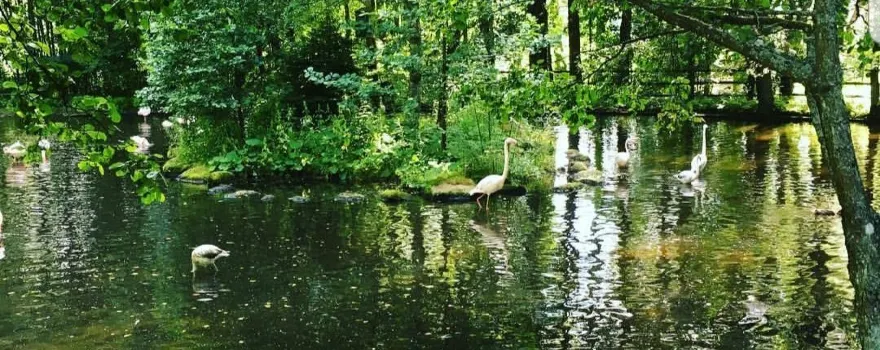 Tierpark Borås