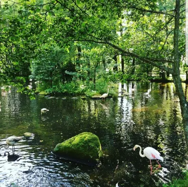 Borås Zoo