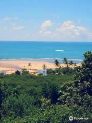 Coqueiros Beach