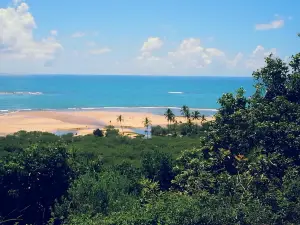 Praia dos Coqueiros