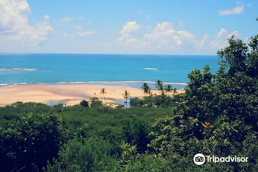 Praia dos Coqueiros