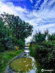 Eston Nab