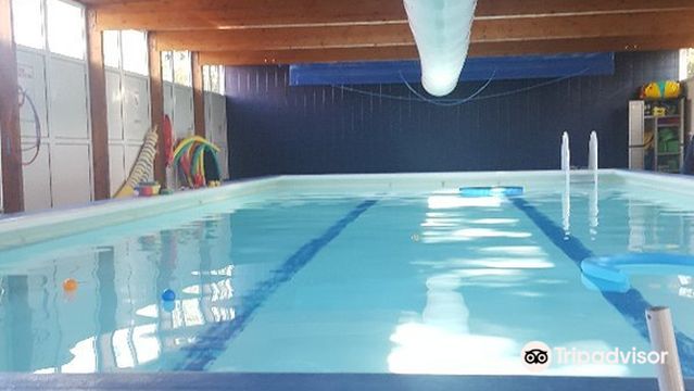 Kings Hedges Learner Pool