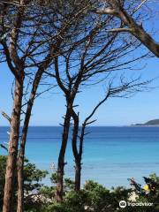 Spiaggia di Maria Pia