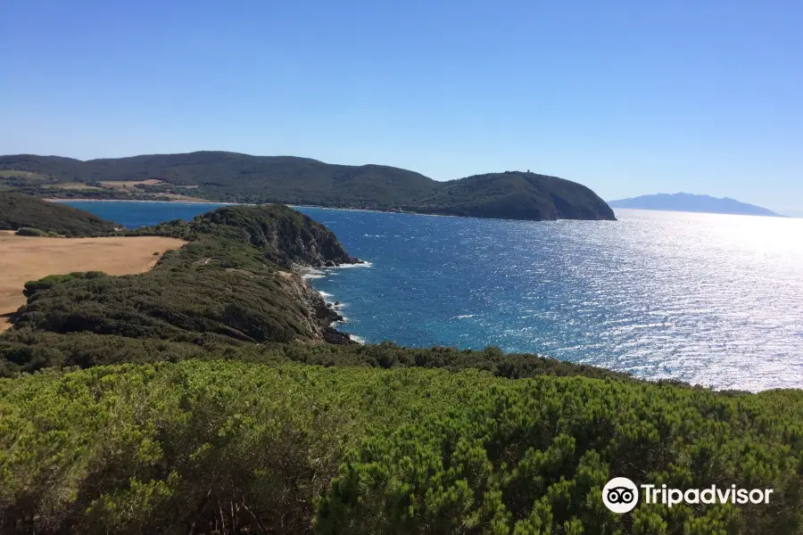 Spiaggia di Baratti