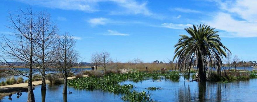 Lake Wendouree