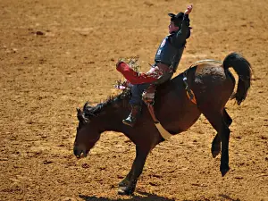 Williamson County AG Expo Park