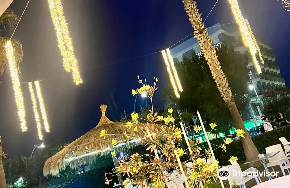 阿爾巴·阿德里亞蒂卡