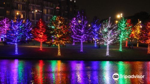 Vitruvian Park