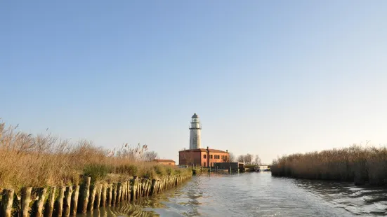 Escursioni in Barca nel Delta del Po - Alberto Barini