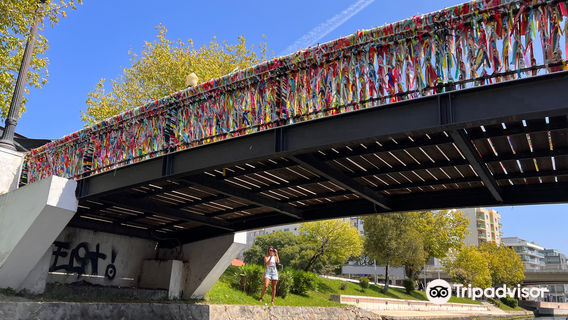 Ponte Lacos de Amizade