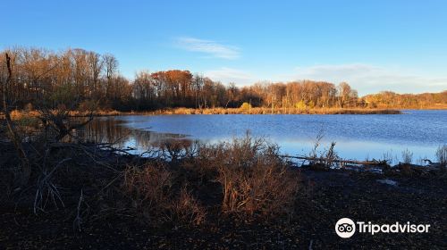 Westminster Ponds/Pond Mills Conservation Area