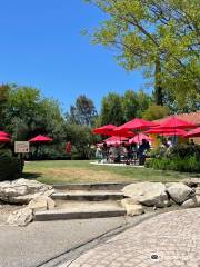 Riboli Family of San Antonio Winery, Bistro + Tasting Room