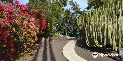 Aloe Park