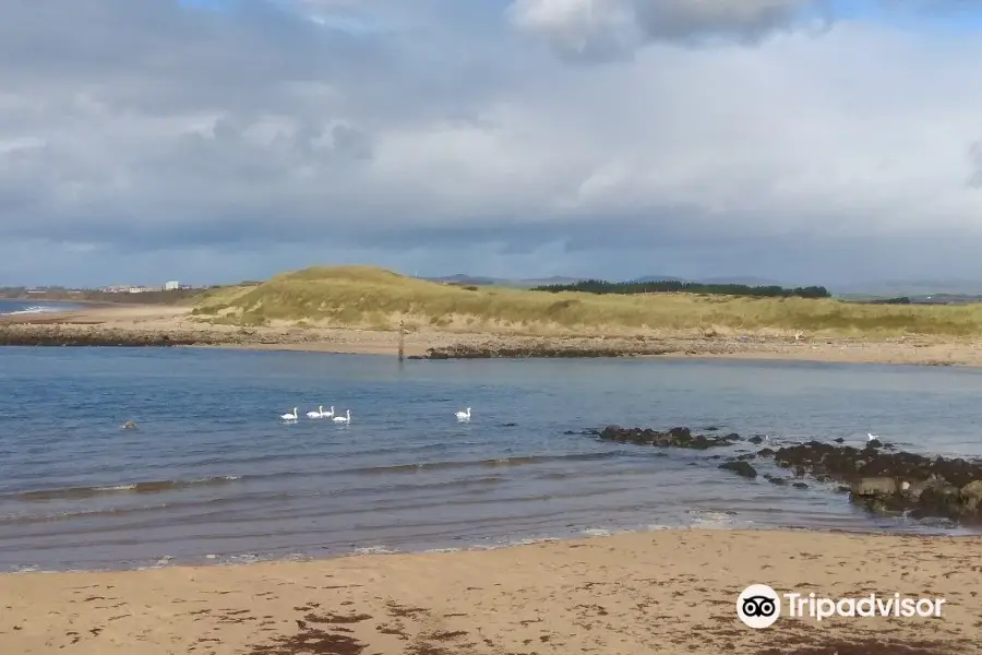 Irvine Beach