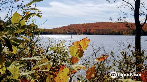 Arrowhead Provincial Park