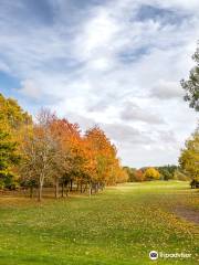 Halesworth Golf Club Restaurant